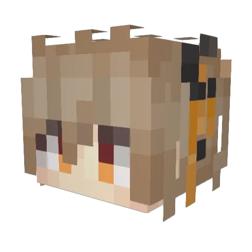PuSaMan Minecraft avatar head, 3D render