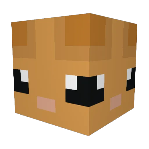 Pualrehe0809 Minecraft avatar head, 3D render