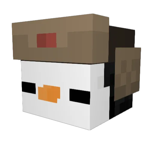 Puamnainaon Minecraft avatar head, 3D render