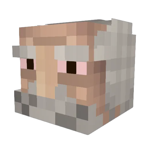 Puaro2 Minecraft avatar head, 3D render