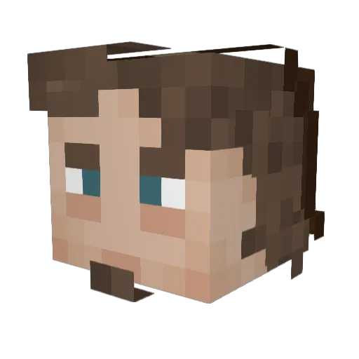 PublicDolphin Minecraft avatar head, 3D render