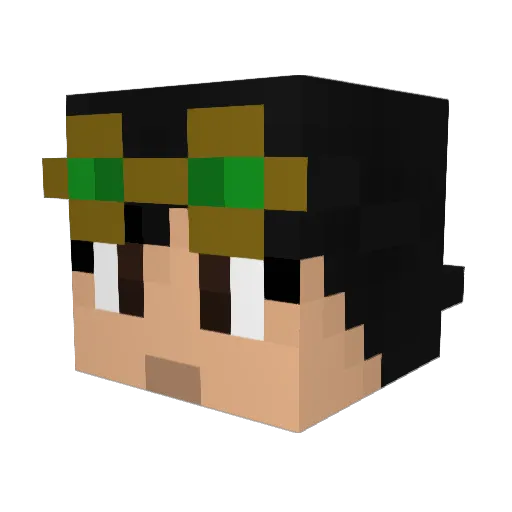 PublicLee Minecraft avatar head, 3D render