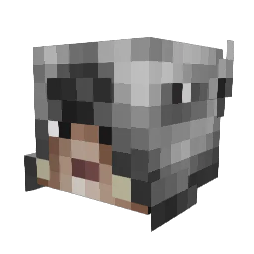 PublixTweaker Minecraft avatar head, 3D render