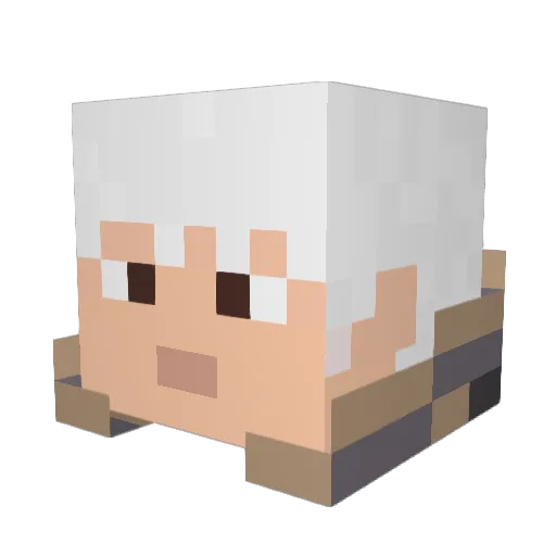 PubloTheScout Minecraft avatar head, 3D render