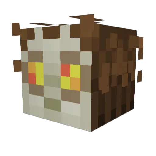 Puchaczow Minecraft avatar head, 3D render