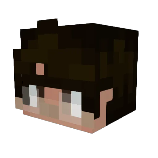 Puchito11 Minecraft avatar head, 3D render