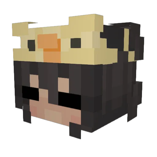 Pud1es Minecraft avatar head, 3D render