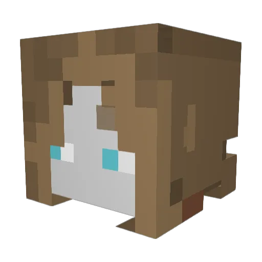 Pudding606 Minecraft avatar head, 3D render