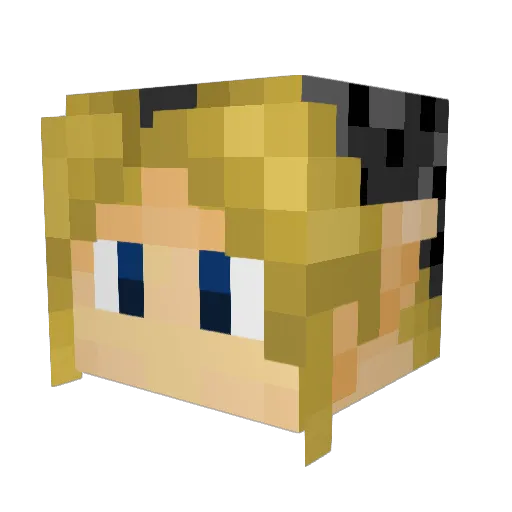 Pudding96 Minecraft avatar head, 3D render