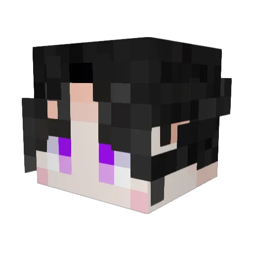 PuddingPen Minecraft avatar head, 3D render