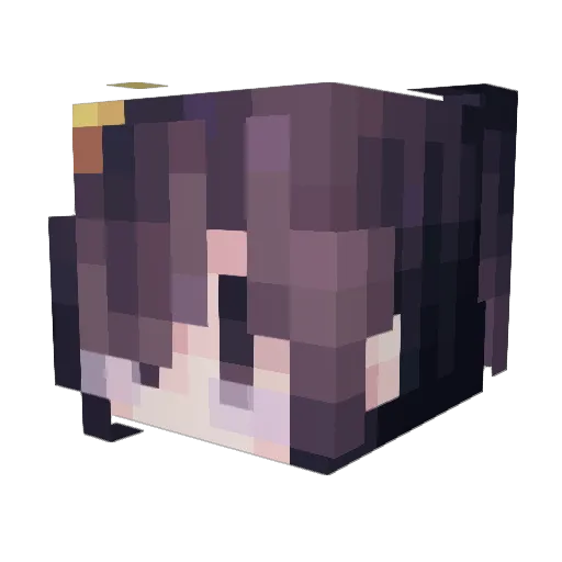 Pudding_Java Minecraft avatar head, 3D render