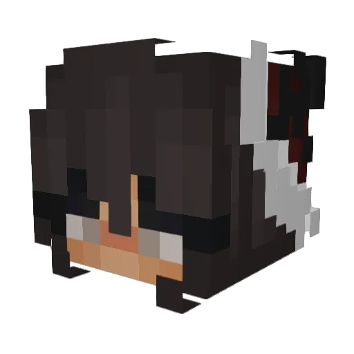 Puddingfee4466 Minecraft avatar head, 3D render