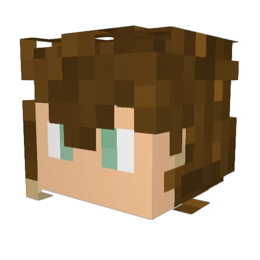 PuddleChicken Minecraft avatar head, 3D render