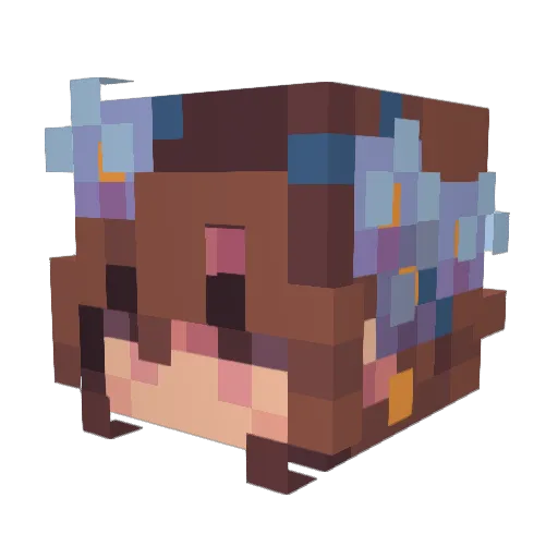 Puddle_Penguin11 Minecraft avatar head, 3D render
