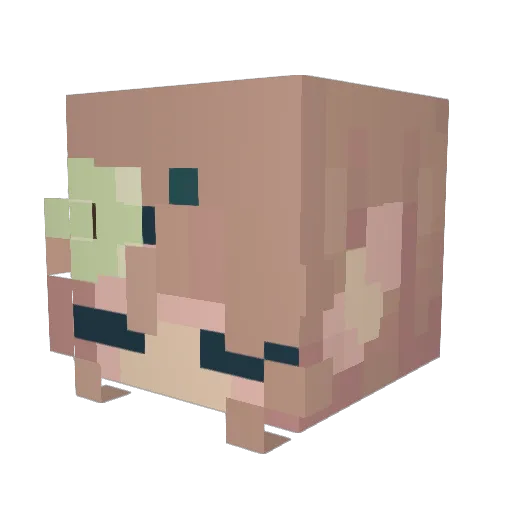 Puddy_Cup Minecraft avatar head, 3D render