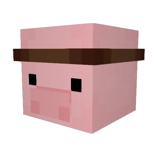 PudgeParty Minecraft avatar head, 3D render
