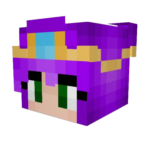 Pudge_the_fish Minecraft avatar head, 3D render