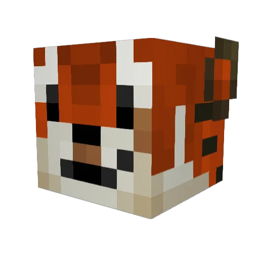 Pudgey9 Minecraft avatar head, 3D render