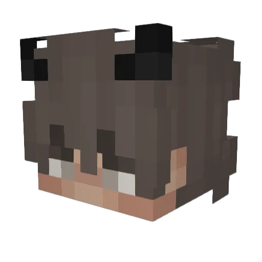 Pudgey_ Minecraft avatar head, 3D render