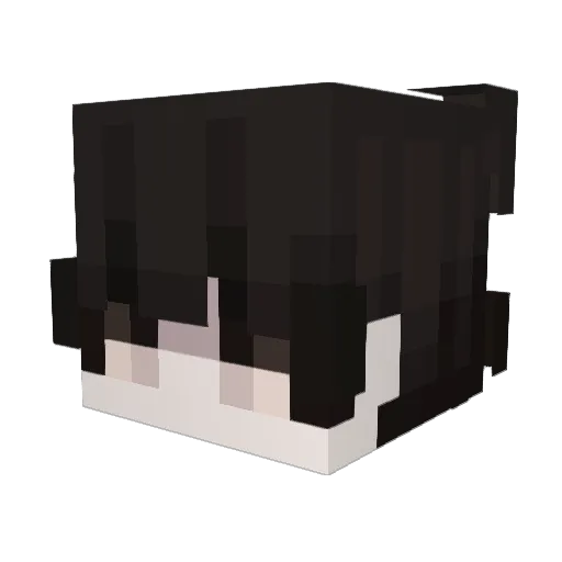 Pudimvidaloka Minecraft avatar head, 3D render