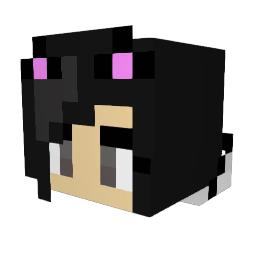 Puenktchen13 Minecraft avatar head, 3D render