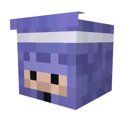PuercoToroMon Minecraft avatar head, 3D render