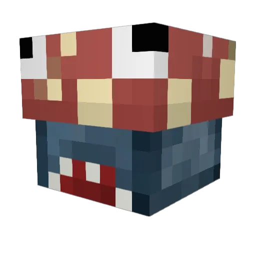 Puetcho Minecraft avatar head, 3D render