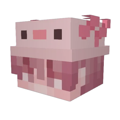 Pufal123 Minecraft avatar head, 3D render