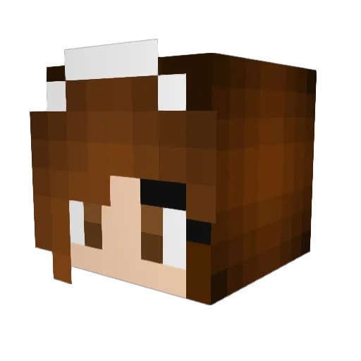 Puffball2014 Minecraft avatar head, 3D render