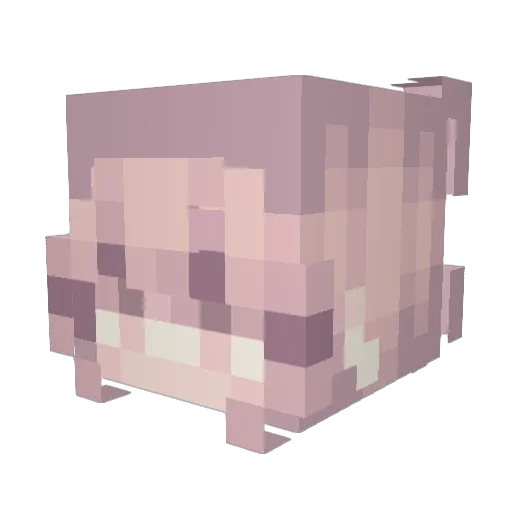 Puffe22 Minecraft avatar head, 3D render