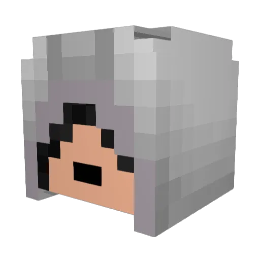 Puffenstein Minecraft avatar head, 3D render