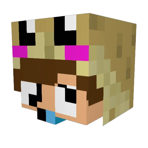 Puffi353 Minecraft avatar head, 3D render