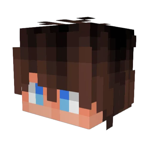 Puffireaktion Minecraft avatar head, 3D render