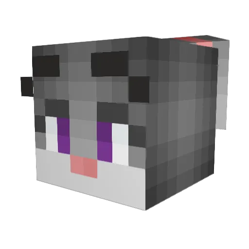 Puffy2106 Minecraft avatar head, 3D render