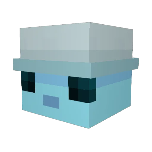 PuffyCat47 Minecraft avatar head, 3D render