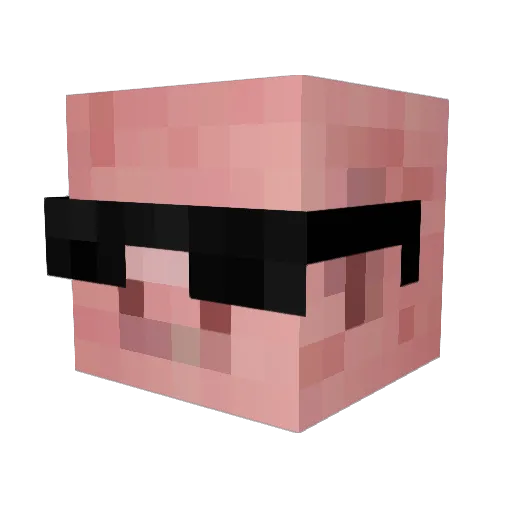 PuffyPig222 Minecraft avatar head, 3D render