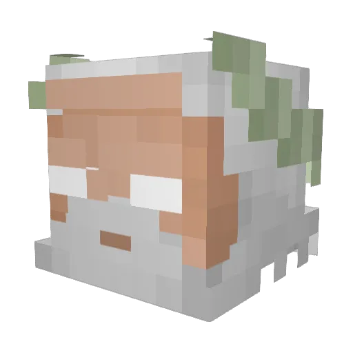Puffyblaze Minecraft avatar head, 3D render