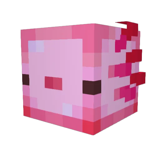 Puffypenguin799 Minecraft avatar head, 3D render
