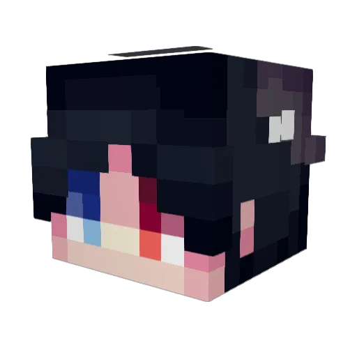 Pufik_ Minecraft avatar head, 3D render