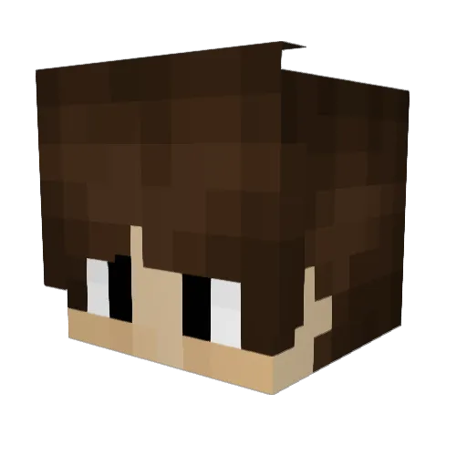 Pug200269 Minecraft avatar head, 3D render