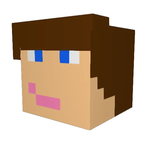 Pug8 Minecraft avatar head, 3D render
