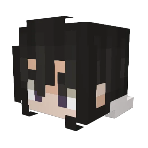 PugAssassain12 Minecraft avatar head, 3D render