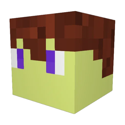 PugB0i Minecraft avatar head, 3D render