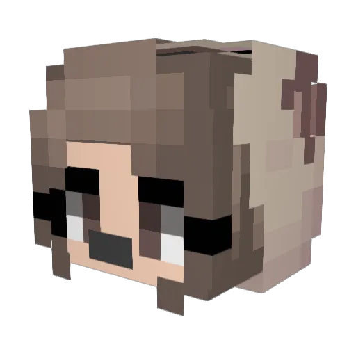 PugLover60 Minecraft avatar head, 3D render