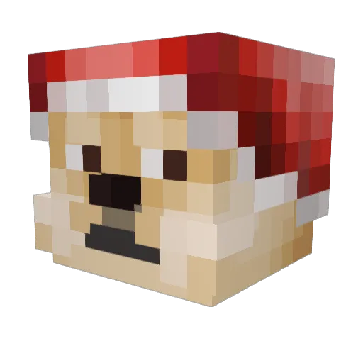 PugLoverSoMuch1 Minecraft avatar head, 3D render