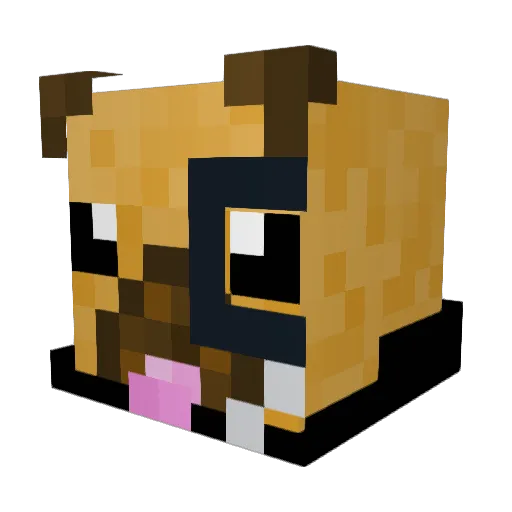 PugPlays123_ Minecraft avatar head, 3D render