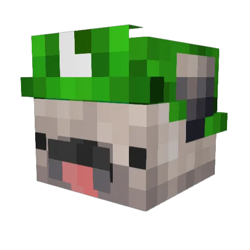 Pug_MasterYT Minecraft avatar head, 3D render