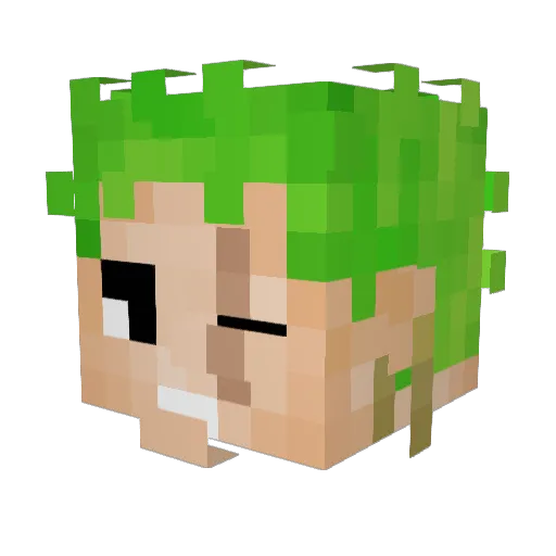 Pugcontrol Minecraft avatar head, 3D render