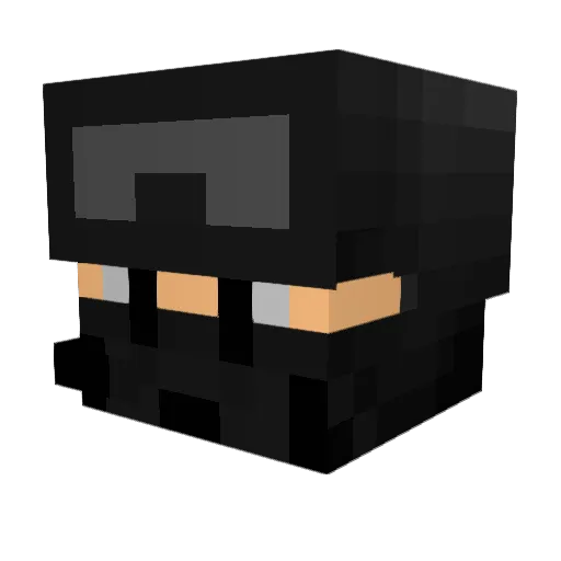Puget159 Minecraft avatar head, 3D render