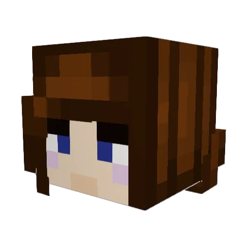 Pugfan2010 Minecraft avatar head, 3D render